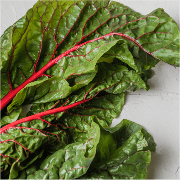 Swiss chard on a pale tan background