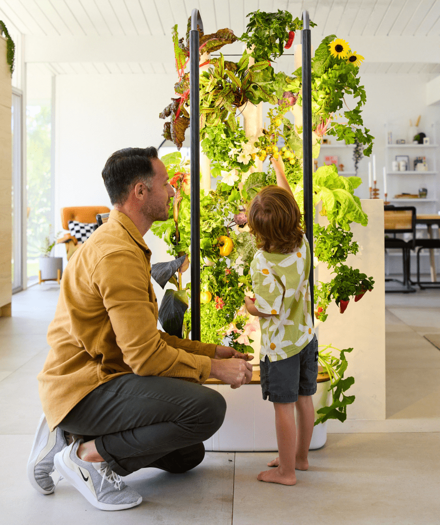 Father and child looking at a Hydrogrowhub Home Kit 4.0 in their kitchen.