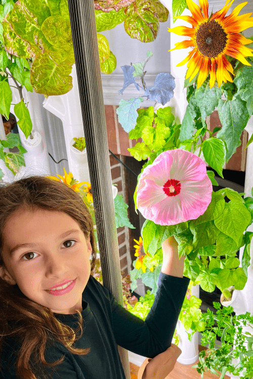 A young girl with a Pink Hibiscus flower, standing in front of a Hydrogrowhub Home system.